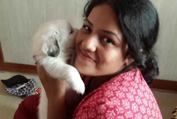 Havanese for sale in bangalore