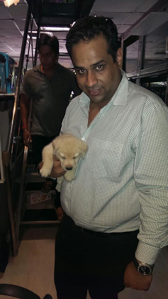 labrador puppies for sale in gurgaon