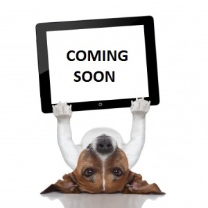 Coming soon dog tegha kennel