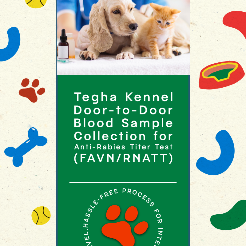 Tegha Kennel door-to-door Anti Rabies Titer (RNATT) blood sample collection service for pet dogs and cats in India for international pet travel.